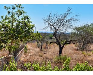 Country house for sale in Son Servera  with Private garden and Terrace