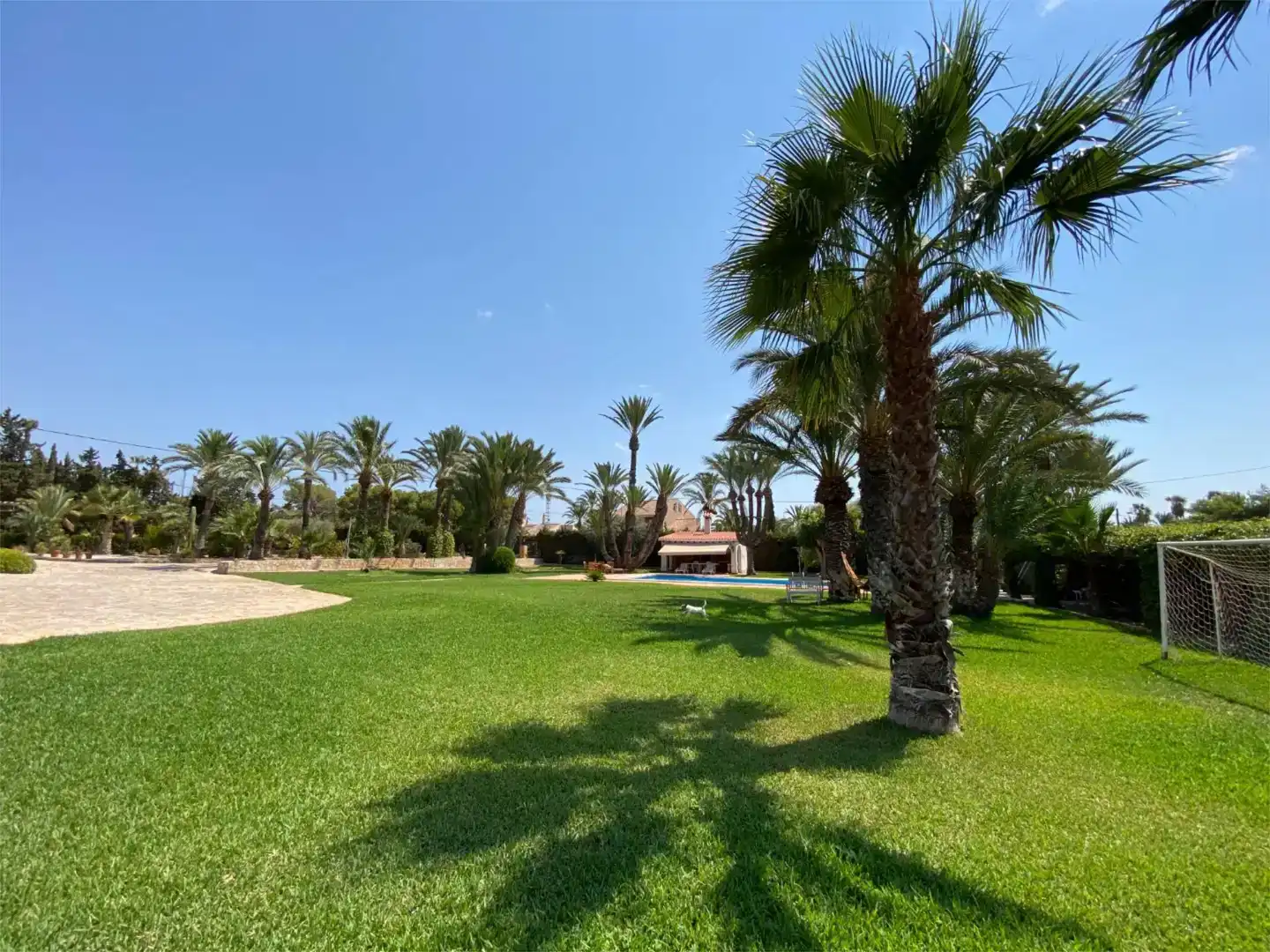 Jardí de Casa o xalet en venda en Santa Pola amb Aire condicionat i Piscina