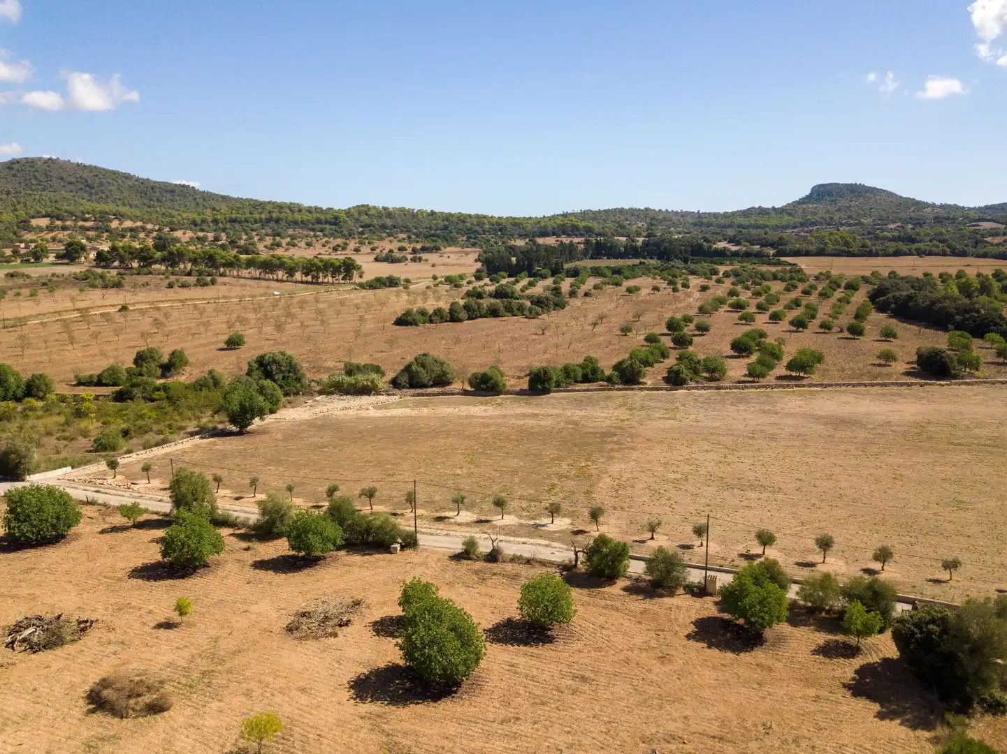 Rural land for sale in Son Vives, imagen 14