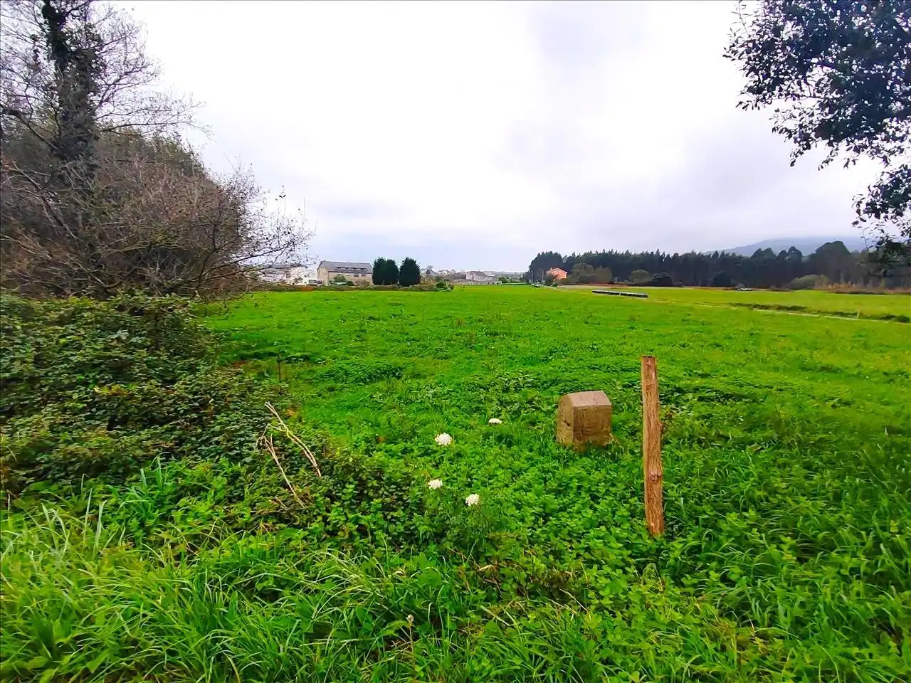 Residential land for sale in Carretera GENERAL SAN PEDRO 148, imagen 17