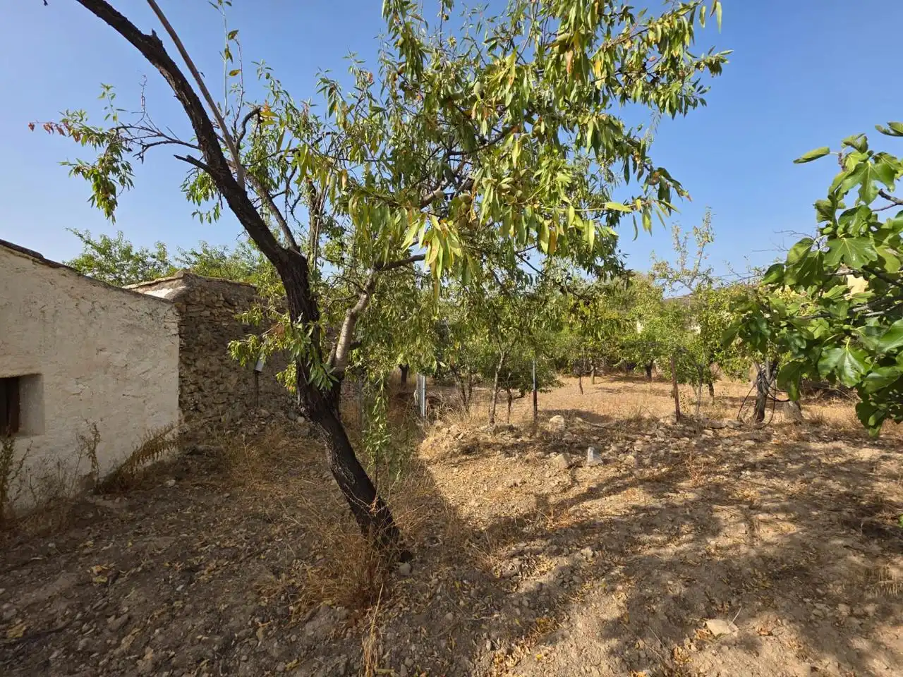 Finca rústica en venda en Bédar amb Jardí privat i Terrassa