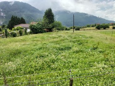 Terrain résidentiel à vendre à Grado