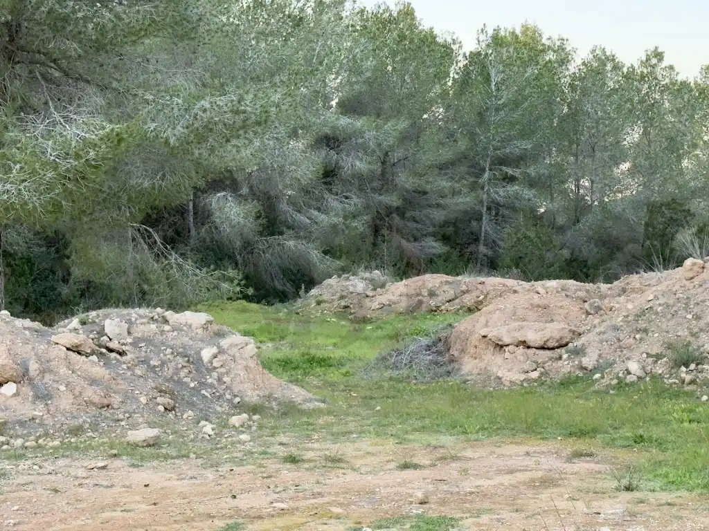 Houses for sale in Sant Josep de sa Talaia  with Private garden