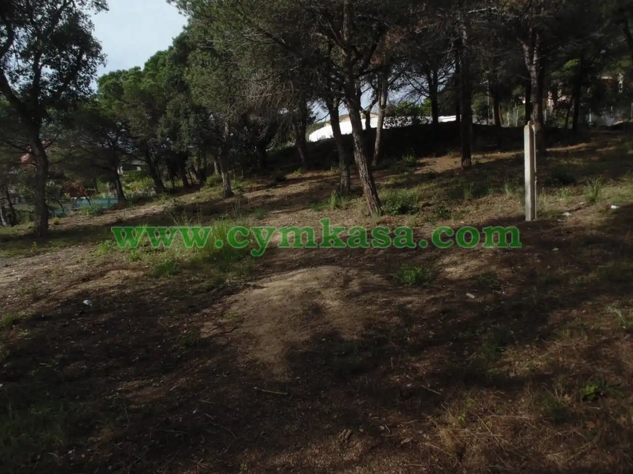 Terreno rustico in vendita a Mas Mora - Sant Daniel, imagen 2