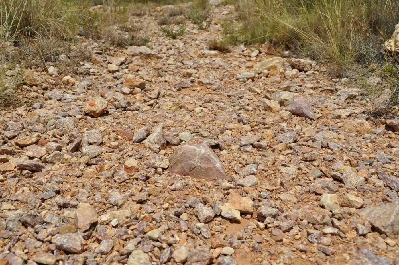 Land for sale in Camí del Barranc de la Llet, 26, Sant Llàtzer