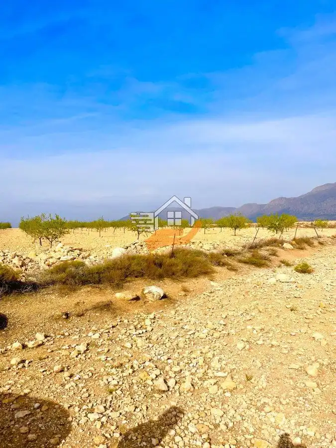Residential land for sale in Vélez-Rubio, imagen 2