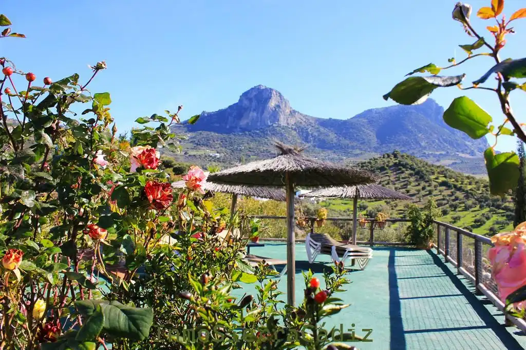 Casa rústica amb piscina en venda a N/A, imagen 22