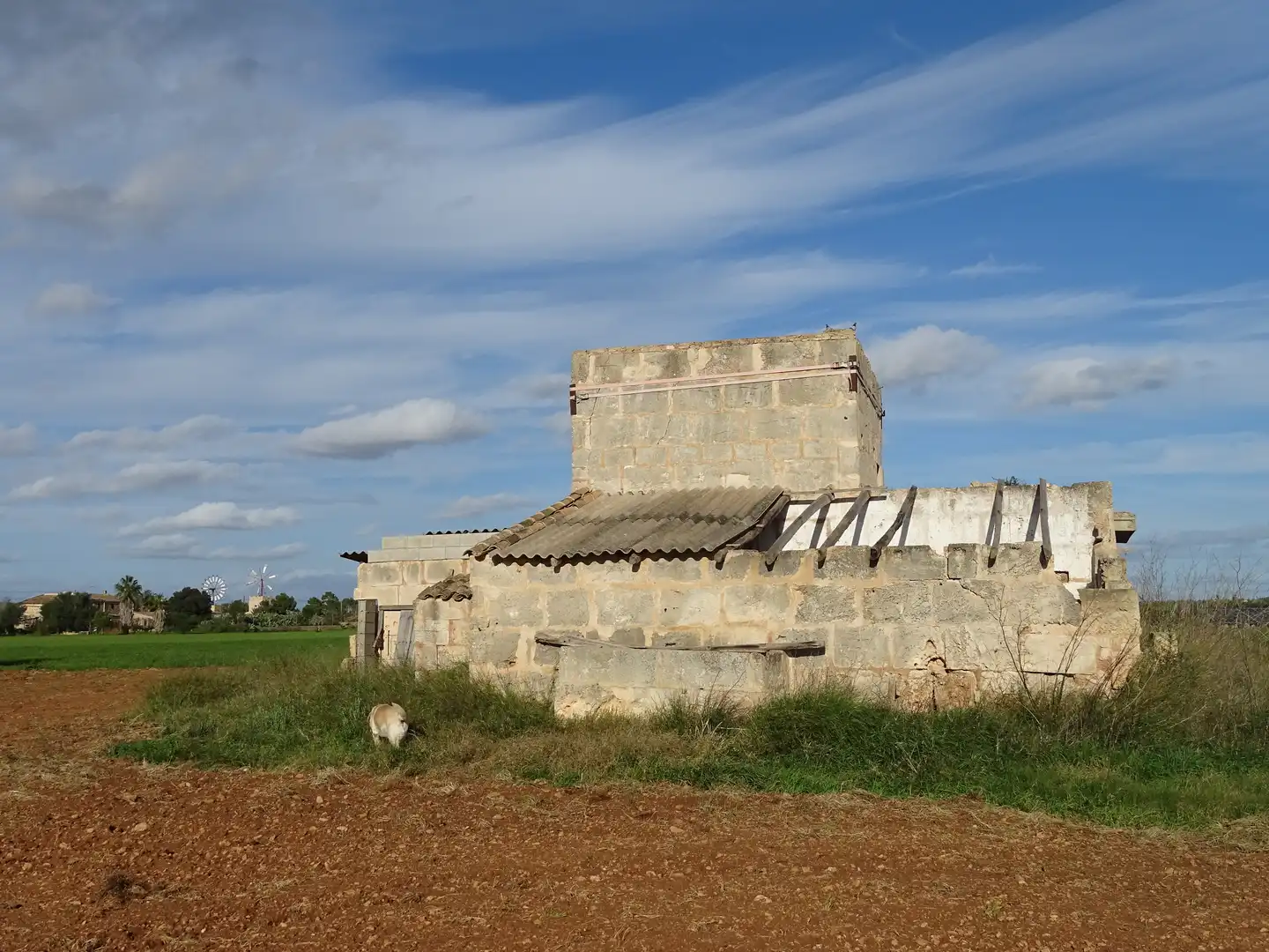 Terreno rustico in vendita a Santanyí Poble, imagen 3