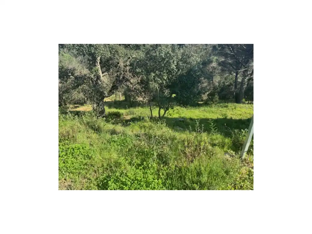 Wohnbaugrundstück zum Verkauf in Niàgara Parc - Àgora Parc, imagen 9