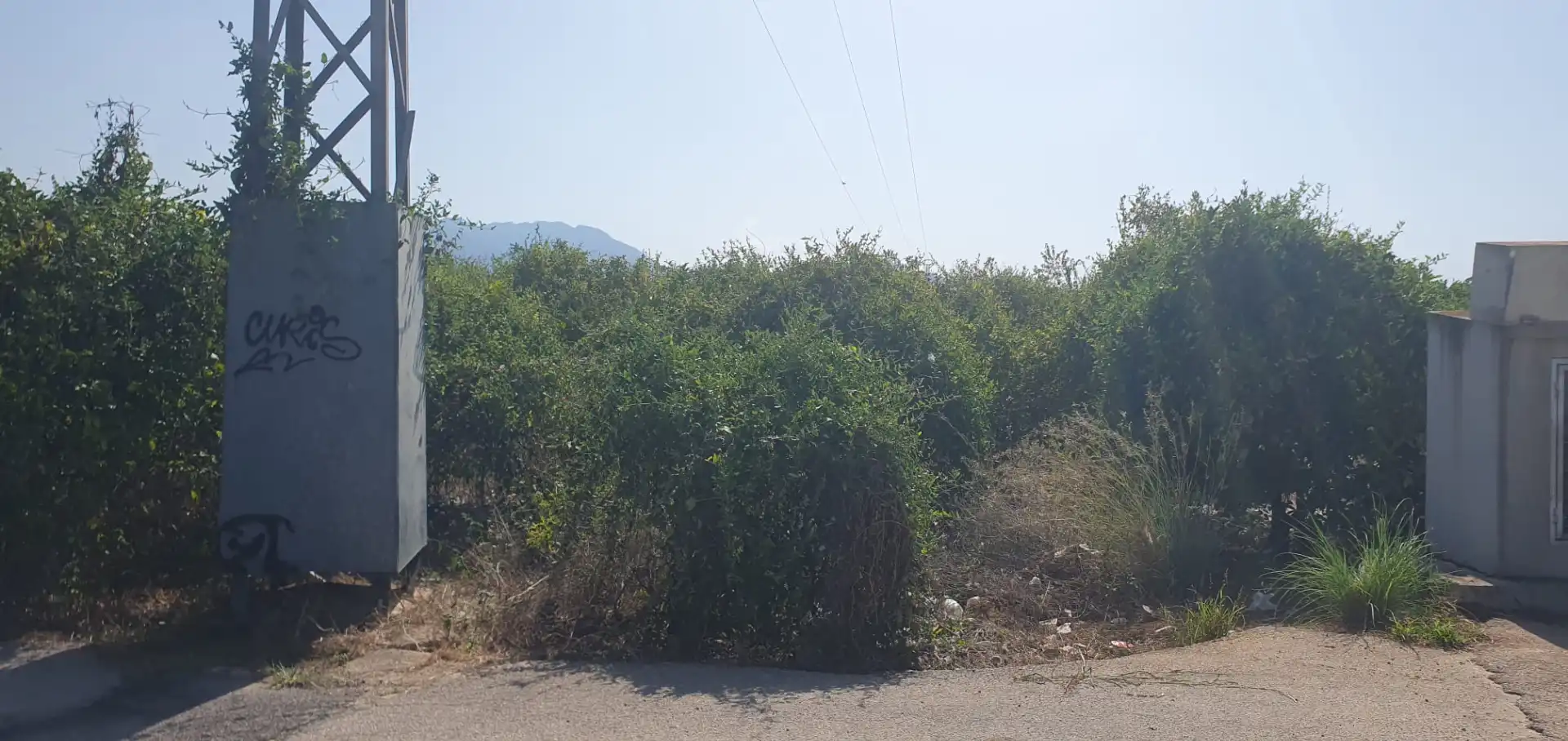 Terreno rustico in vendita a N/A, imagen 6
