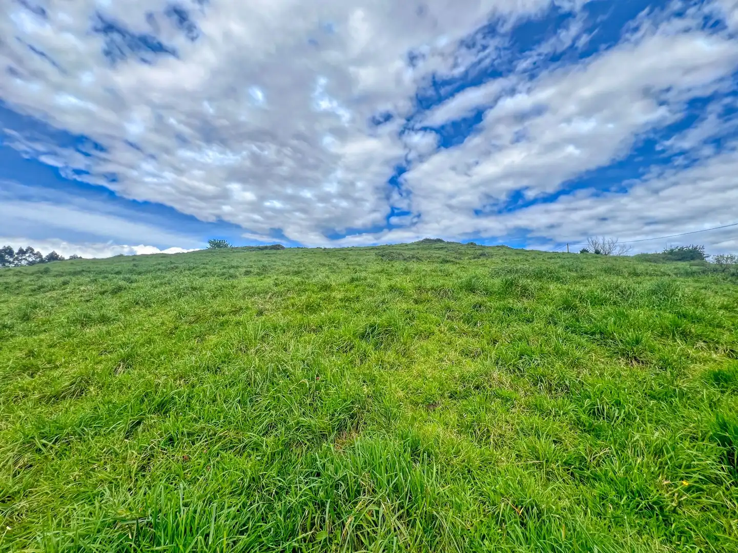 Lands and plots for sale in Pillarno, imagen 8
