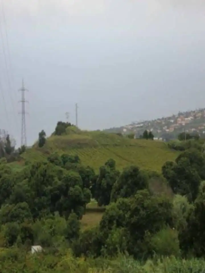 Vista exterior de Finca rústica en venda en Tacoronte amb Jardí privat i Traster