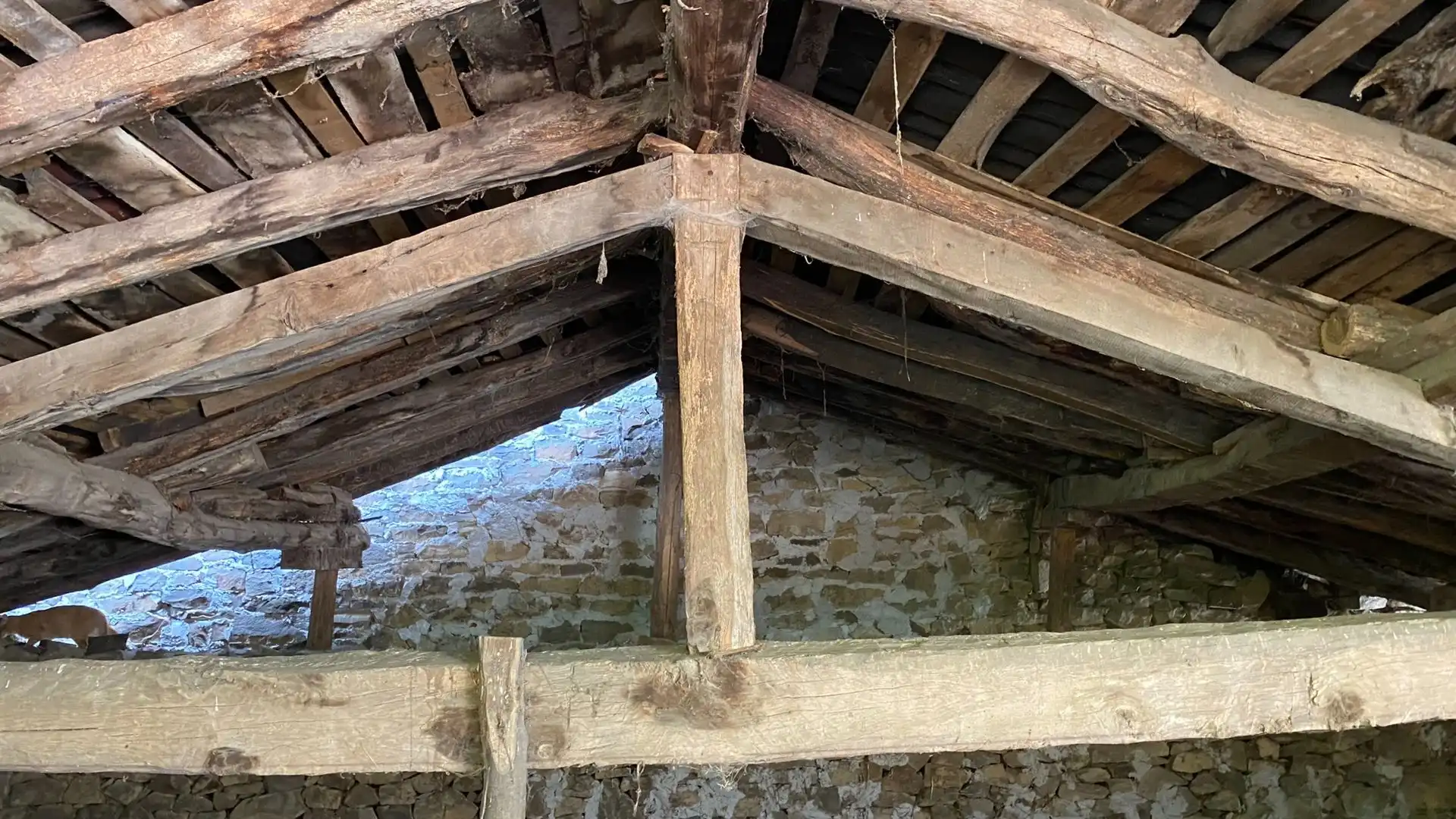 Maison à vendre à Ponga, imagen 10