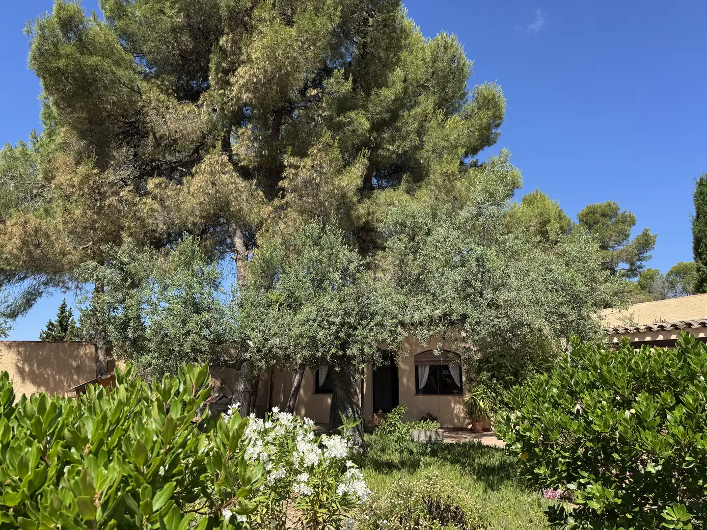 Jardí de Finca rústica en venda en El Molar (Tarragona) amb Calefacció, Terrassa i Piscina