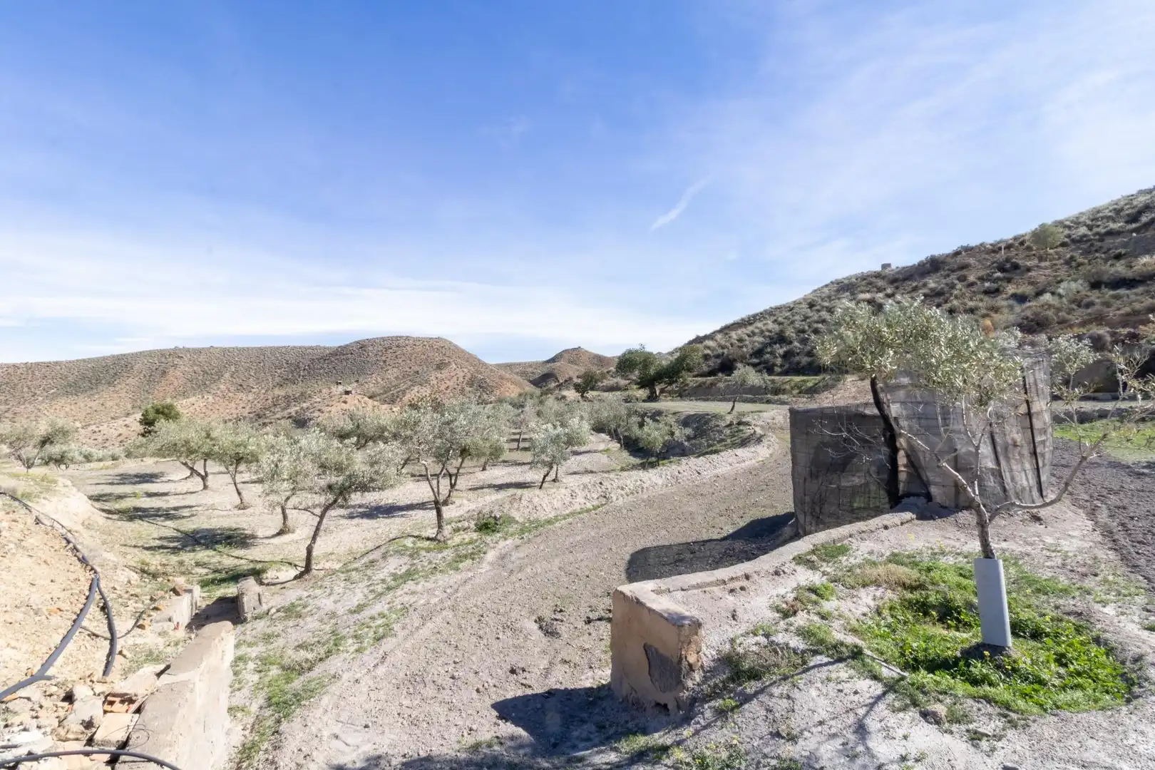 Rustikales Grundstück zum Verkauf in Tabernas, imagen 41