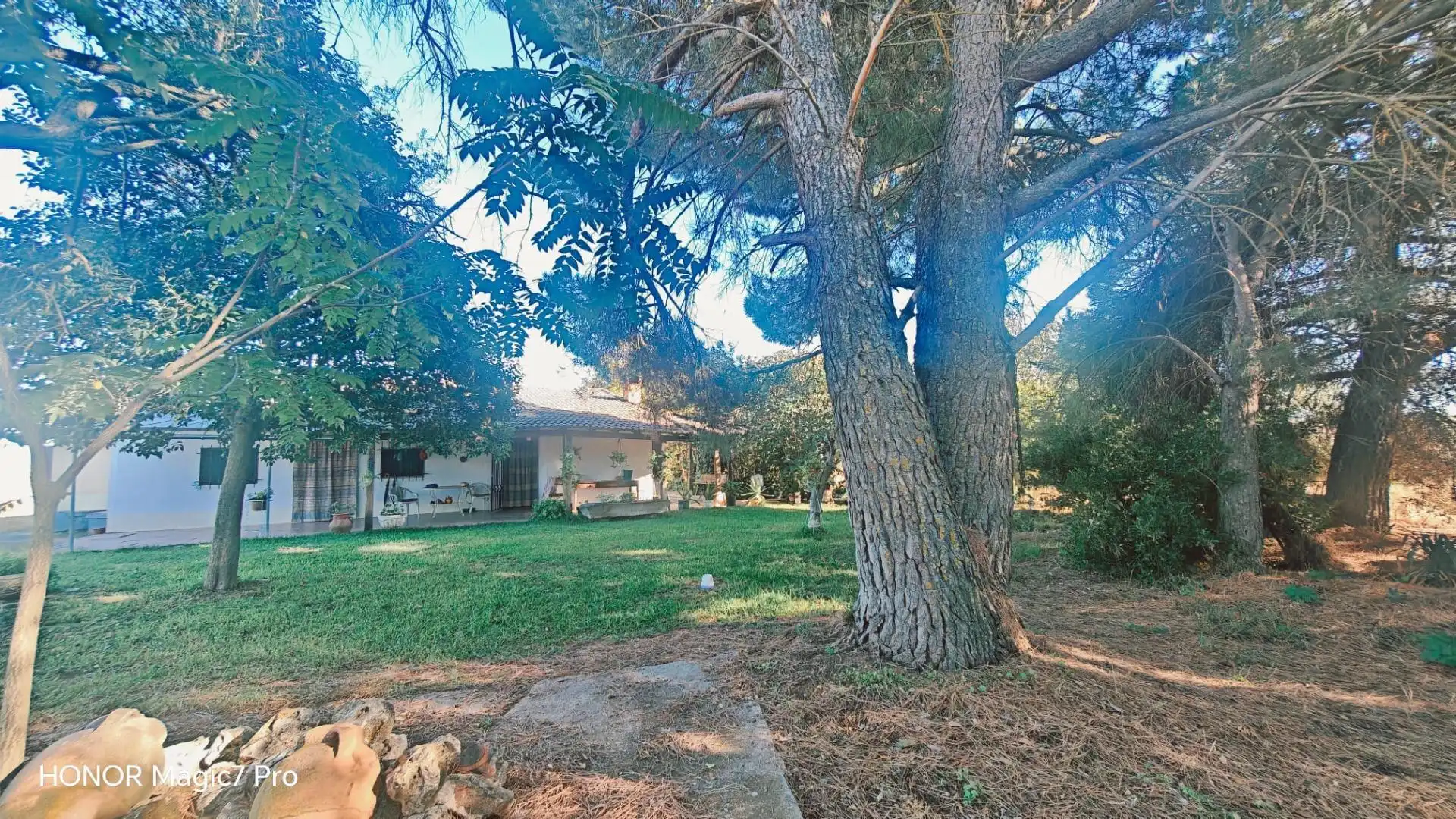 Jardí de Finca rústica en venda en Urbanización Siglo XXI - Carretera de Villalpando