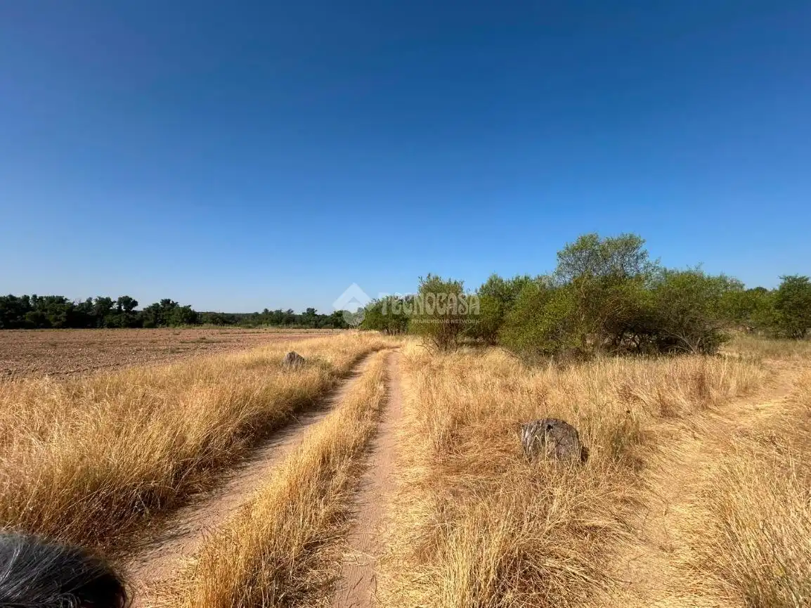 Rural land for sale in Laguna de Duero, imagen 3