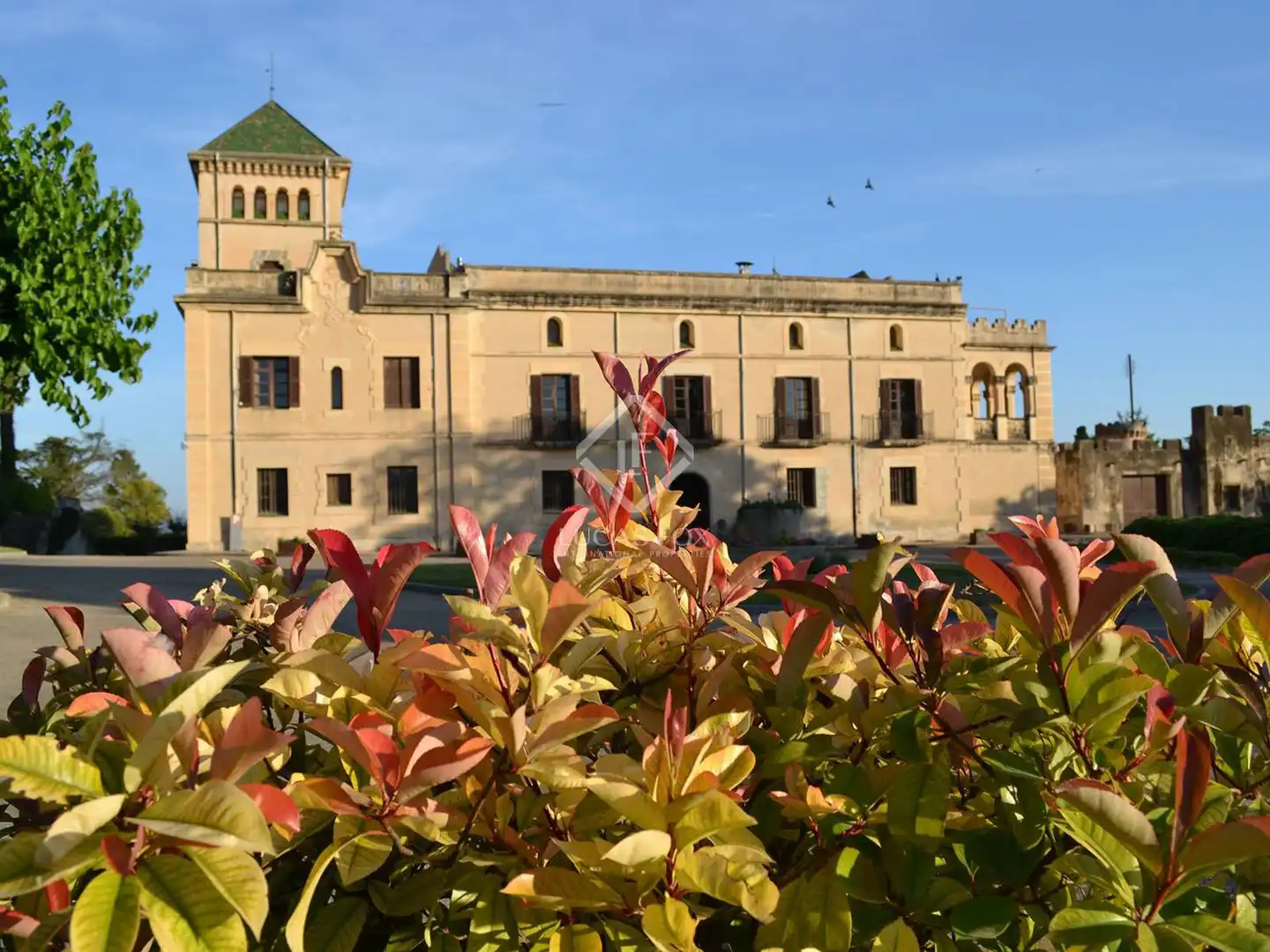 Vista exterior de Finca rústica en venta en Banyeres del Penedès con Jardín privado, Terraza y Piscina