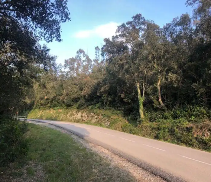 Rustikales Grundstück zum Verkauf in Nou Carrer POLI, imagen 22