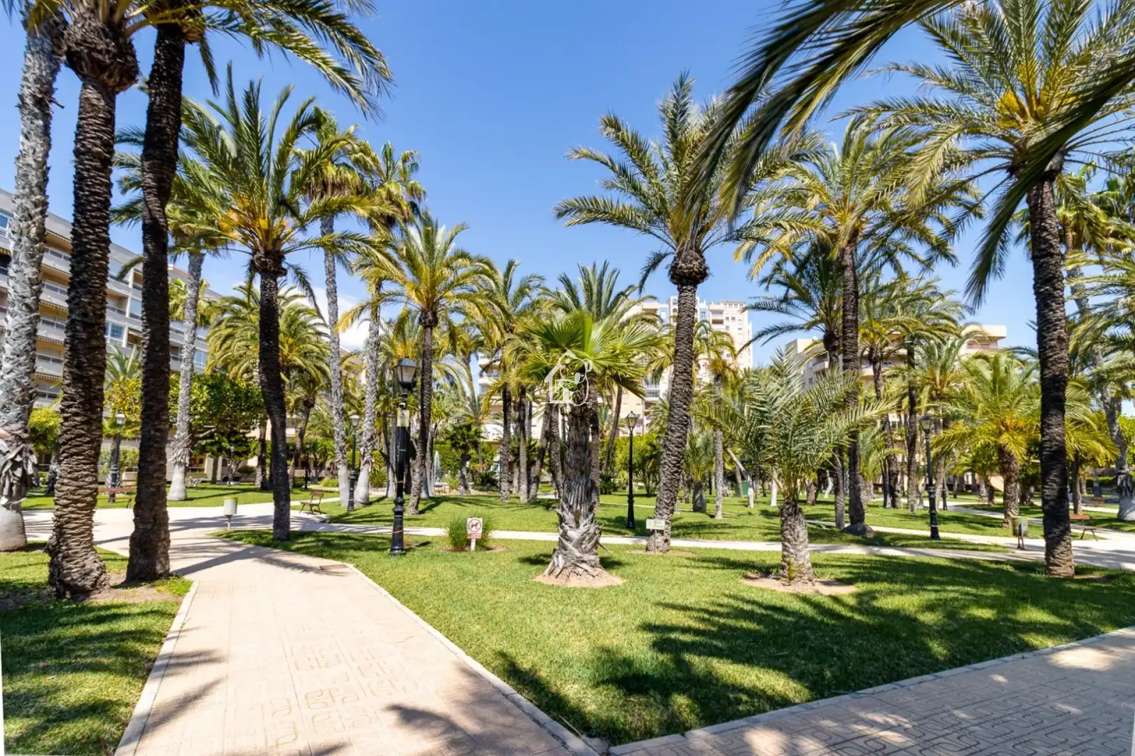 Vista exterior de Planta baixa de lloguer en Torrevieja amb Aire condicionat, Terrassa i Piscina