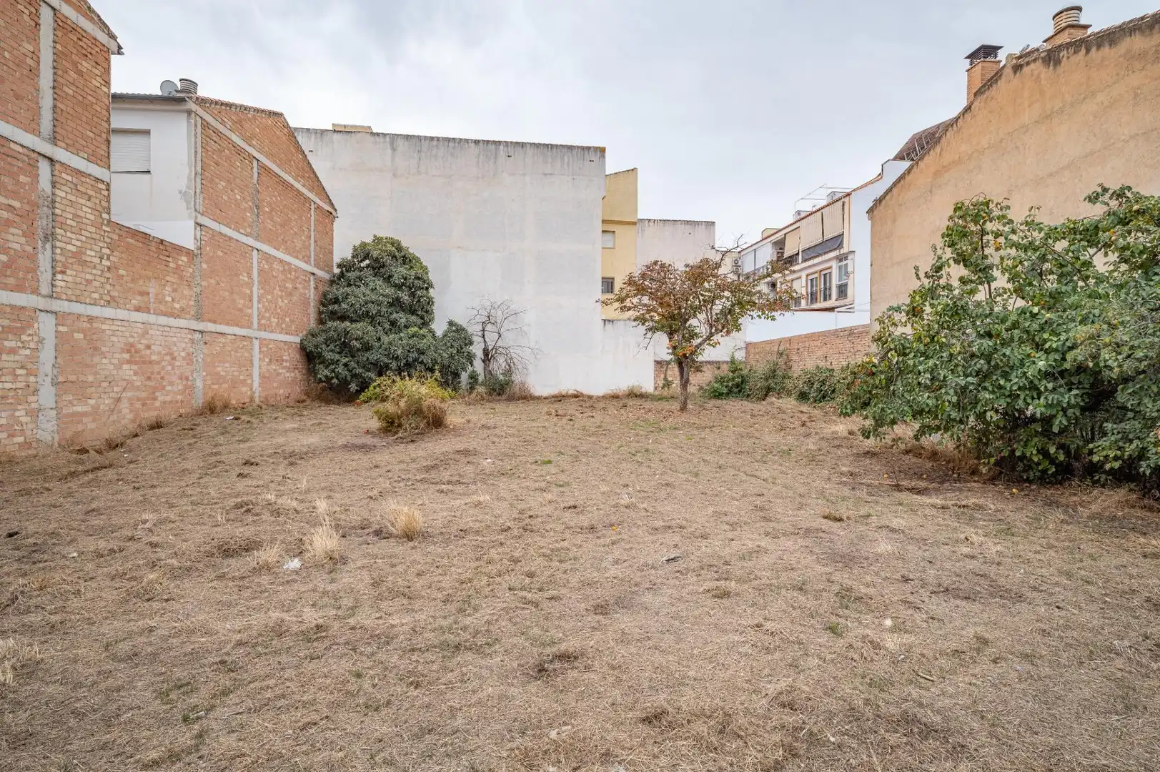 Terrenos y solares en venta en Las Flores - Huerta, imagen 10