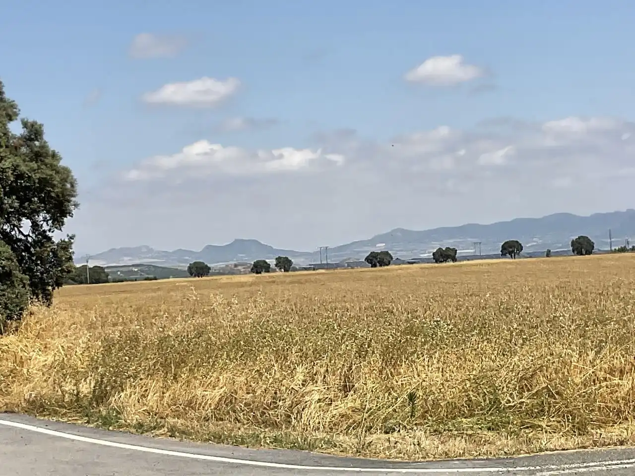 Land for sale in Bañares