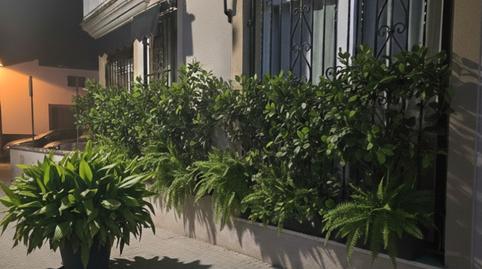 Foto 4 de Casa o xalet en venda a Porto Cristo, Manacor