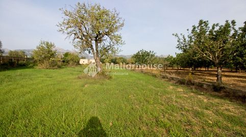 Foto 5 de Finca rústica en venta en Búger, Illes Balears