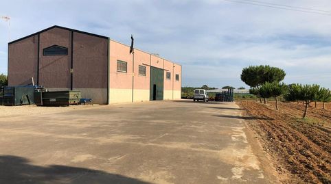 Foto 2 de Terreno en venta en Jerez, Chipiona Norte, Chipiona