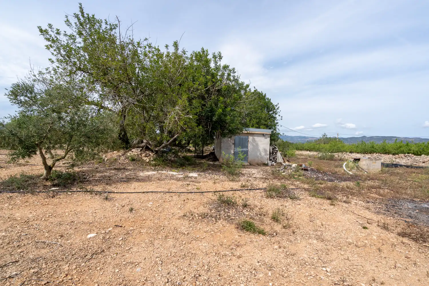 Rural land for sale in Camí Sant Francesc 10, imagen 20