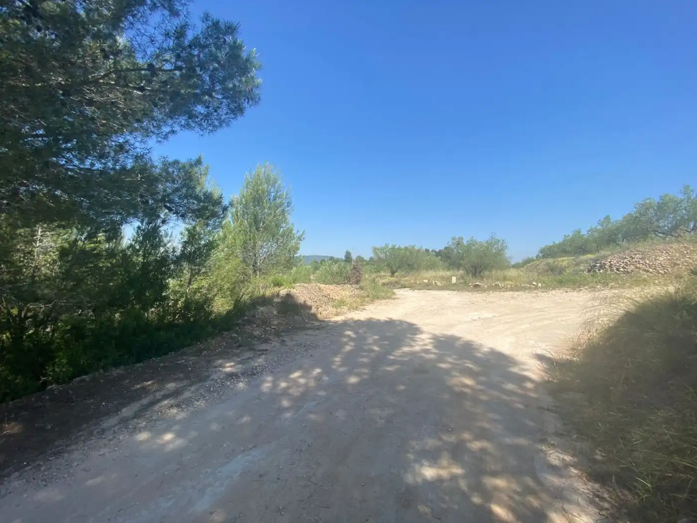 Terreno rustico in vendita a POLÍGONO 10 PARCELA 493, imagen 4