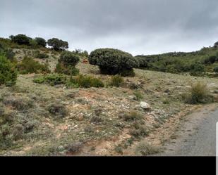 Land for sale in Lagunilla del Jubera