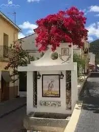 Terreny residencial en venda a Palma de Gandia, imagen 8