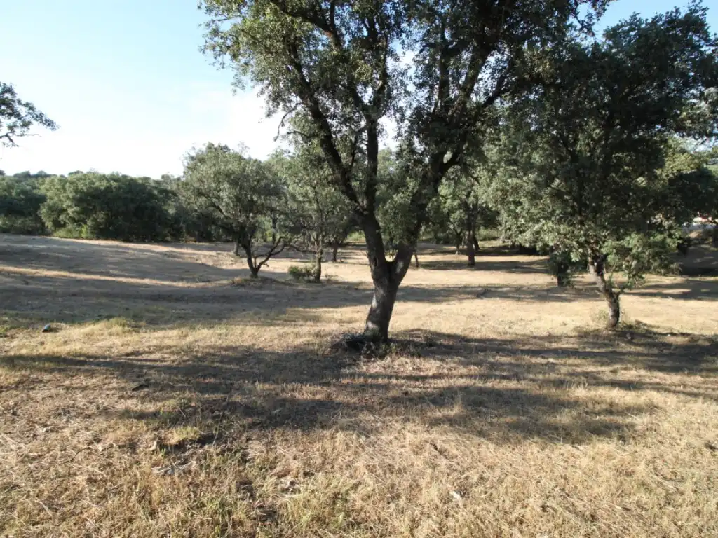 Residential land for sale in Ciudalcampo, imagen 3