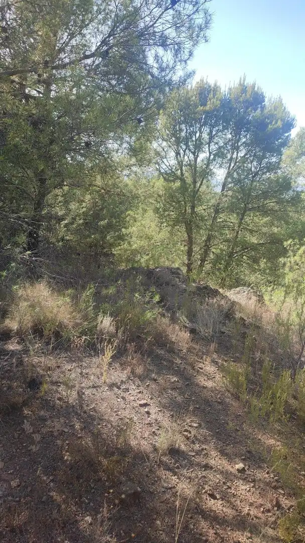 Terrains et parcelles à vendre à Pedanías Centro, imagen 30