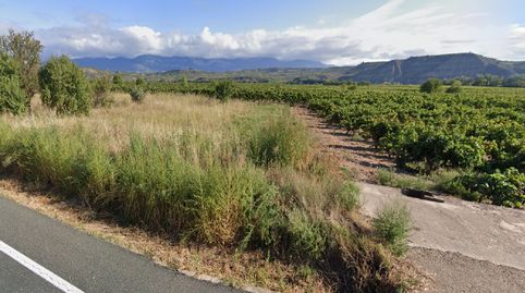Finca de regadío, imagen 5
