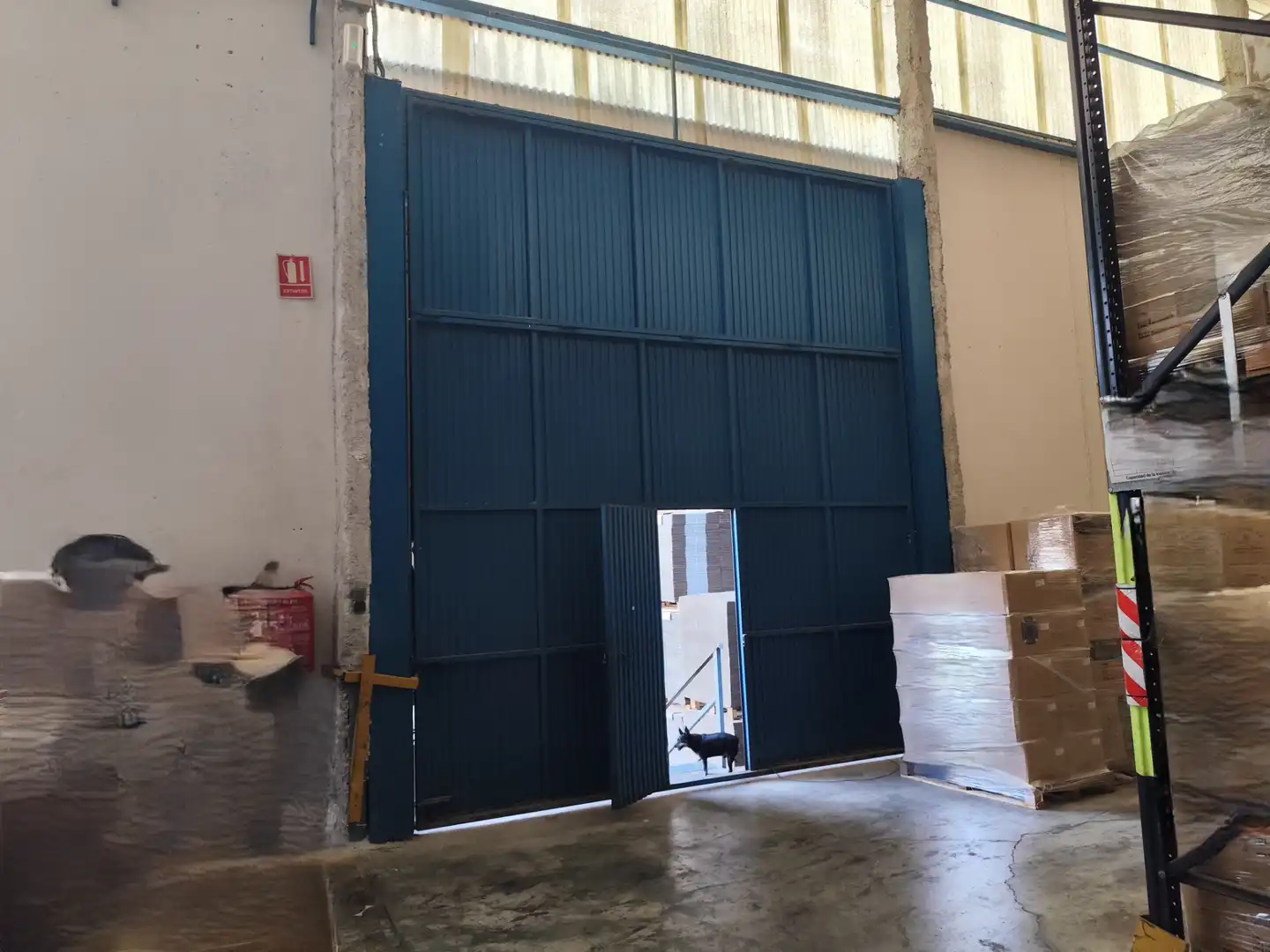 Nave industrial in vendita a Avenida de las Américas 32, imagen 7