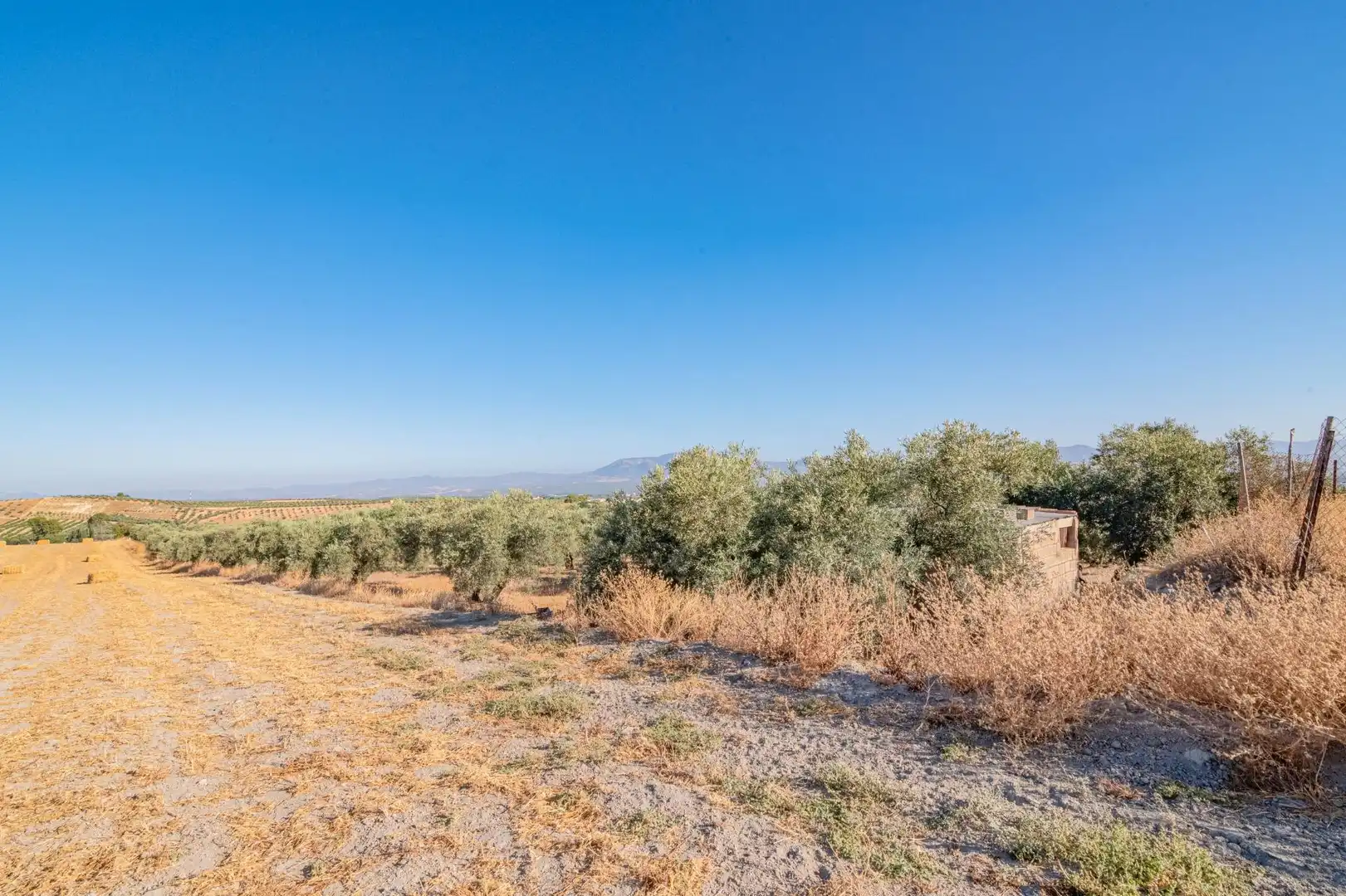 Apartments for sale in Santa Fe