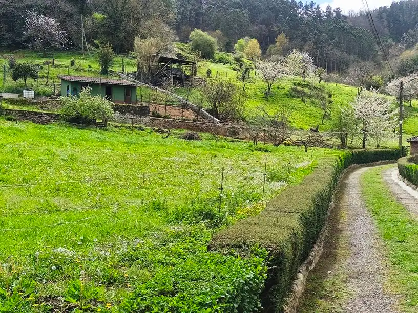 Terreno residencial en venta en Aldea Ferreras 24, imagen 23