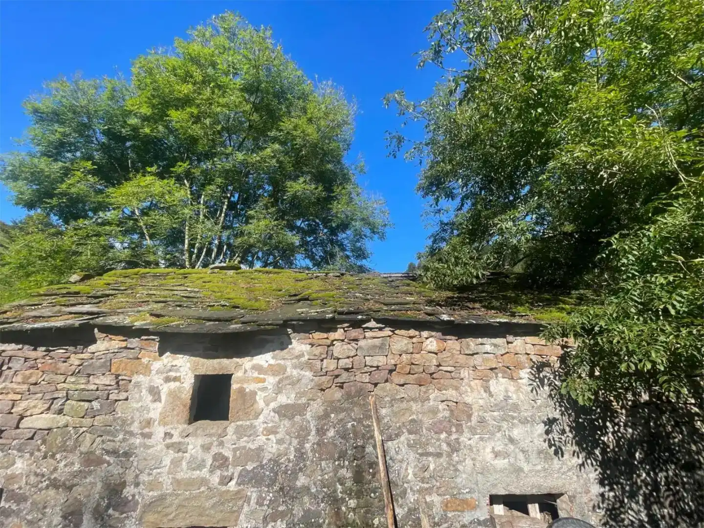 Vista exterior de Finca rústica en venda en Selaya
