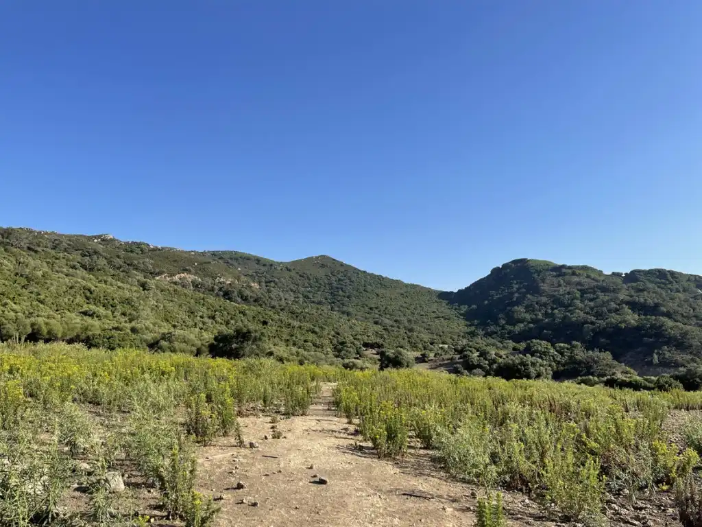 Country homes for sale in Castellar de la Frontera  with Private garden