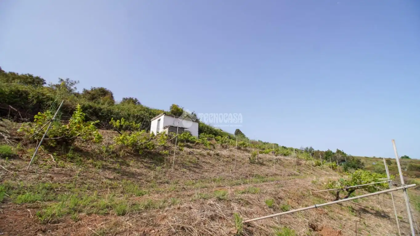 Finca rústica en venta en El Sauzal