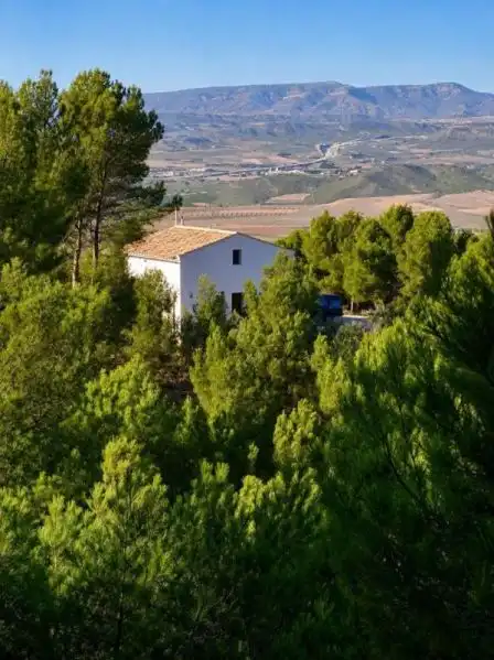 Exterior view of Houses for sale in Las Virtudes