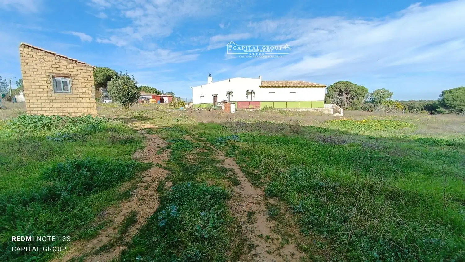 Terrenos y solares en venta en Gibraleón, imagen 4