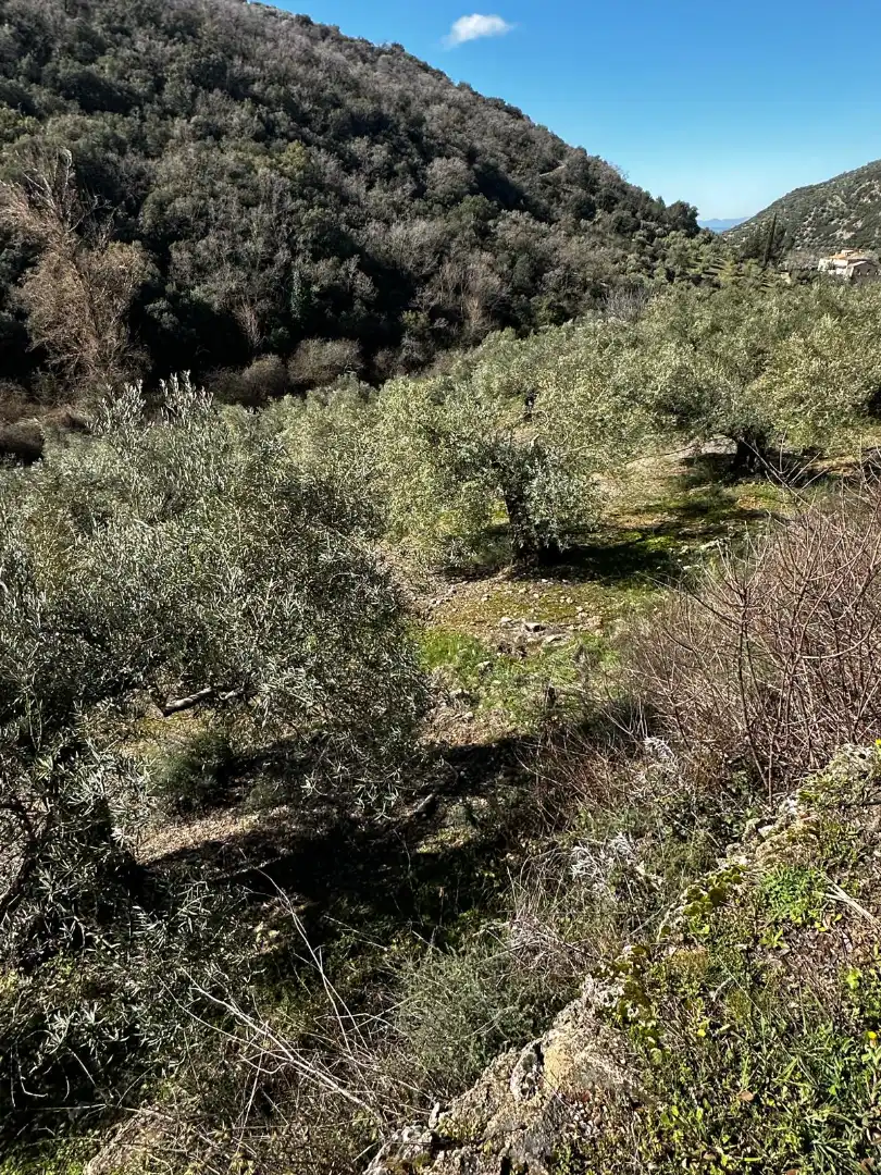 Finca rústica en venda en Valdepeñas de Jaén