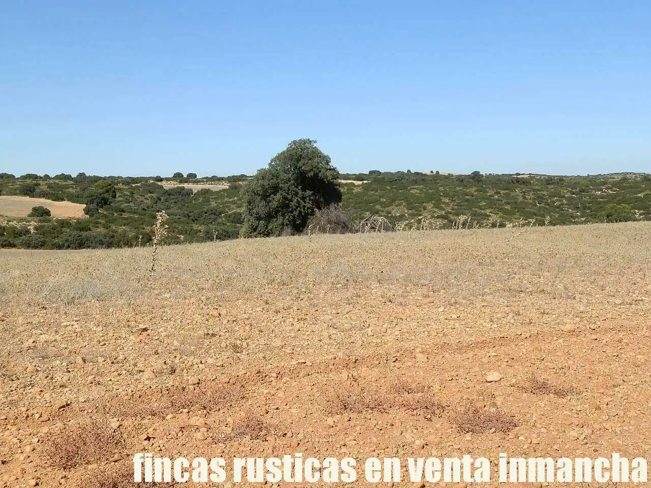 Terreno en venta en Albacete