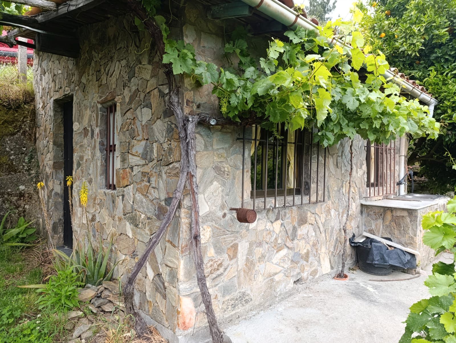Vista exterior de Casa o xalet en venda en O Saviñao  amb Jardí privat i Terrassa