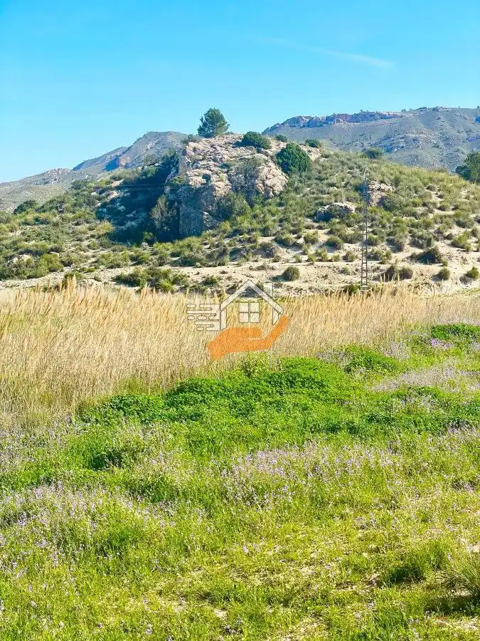 Lands and plots for sale in Pedanías Norte, imagen 15
