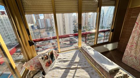 Photo 3 of Study for sale in Avenida Juan Fuster Zaragoza, 10, Rincón Bajo, Benidorm