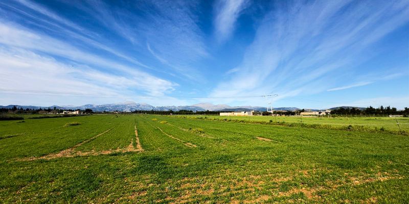 Finca rústica en venta en Muro